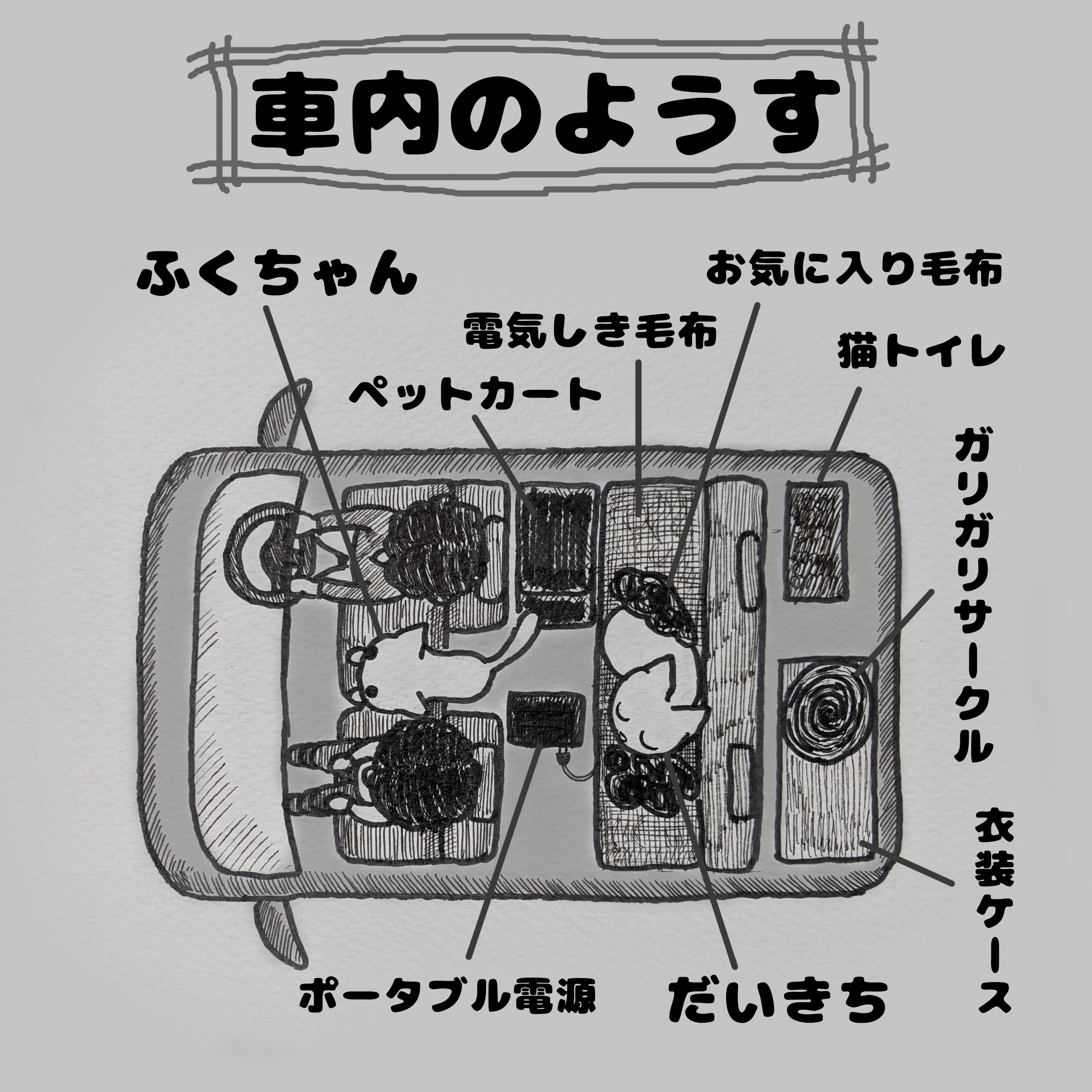 真冬に愛猫と車中で過ごすための必須アイテム  旅にゃんこ だいきち 