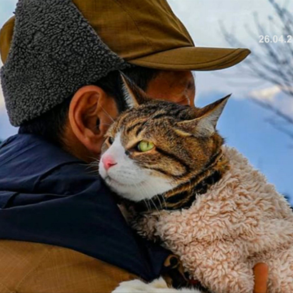 動物と話せるハイジさんとのセッション その２ 旅にゃんこ だいきち ふくちゃん The Traveling Cats