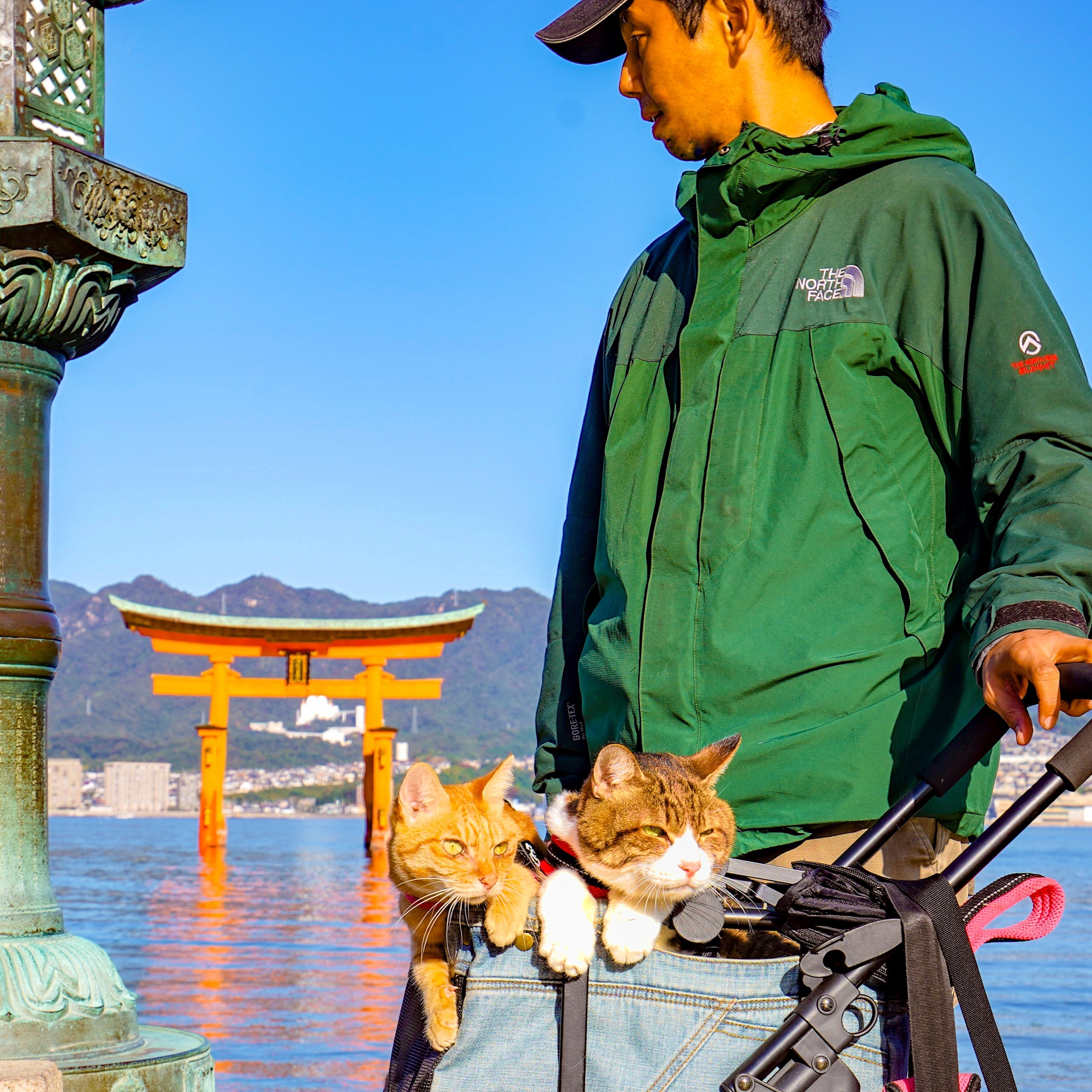 旅にゃんこ広島編 ~ 旅猫たちは安芸の宮島で厳島神社を見学、そして 