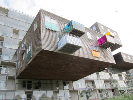 Okurahoma Mayumi Note