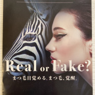 次世代まつ毛パーマ Earth Coiffure Beaute 東松山