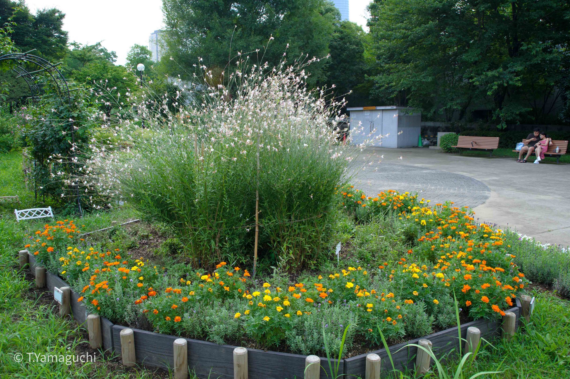 Ai Zoom Nikkor 28-50mm F3.5S | lens-info