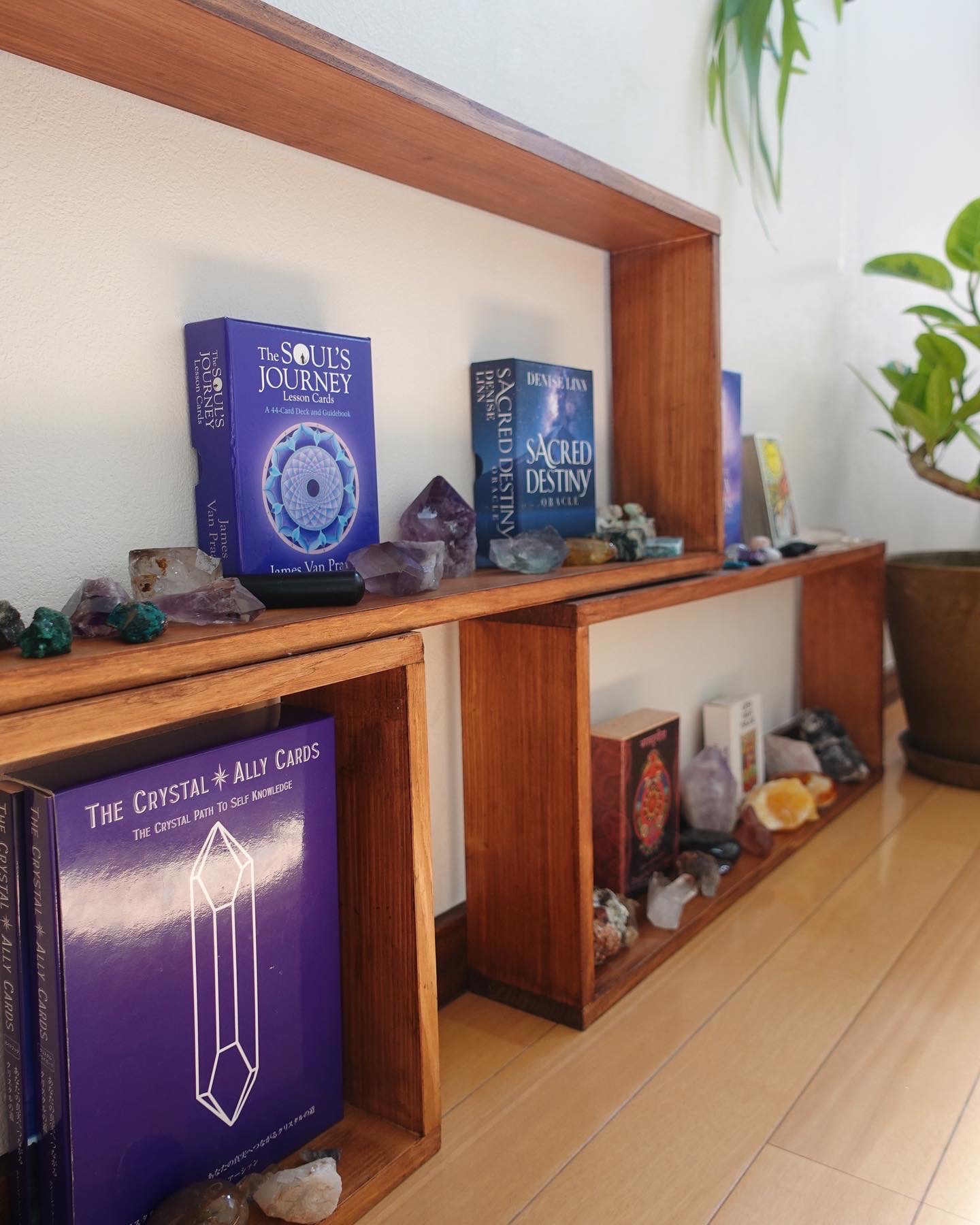 Nascondiglio Exo Terra Calendario Azteca - Per Terrari, 500 G - Foto 2