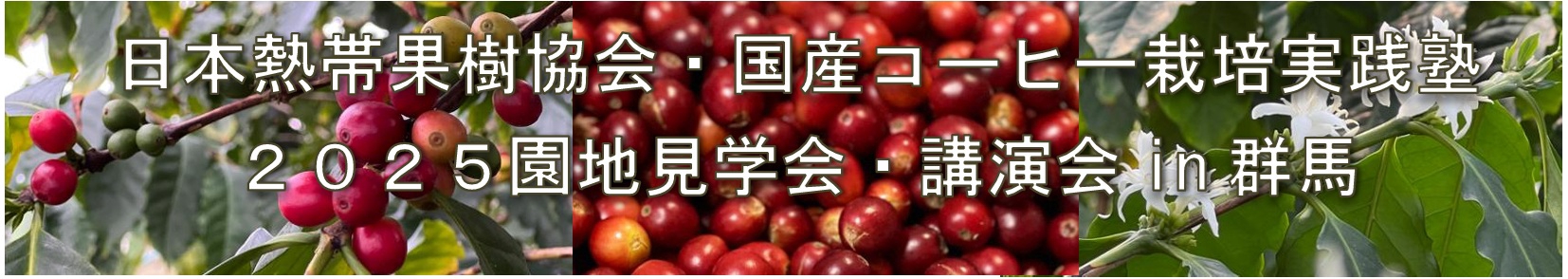 NEWS | 日本熱帯果樹協会