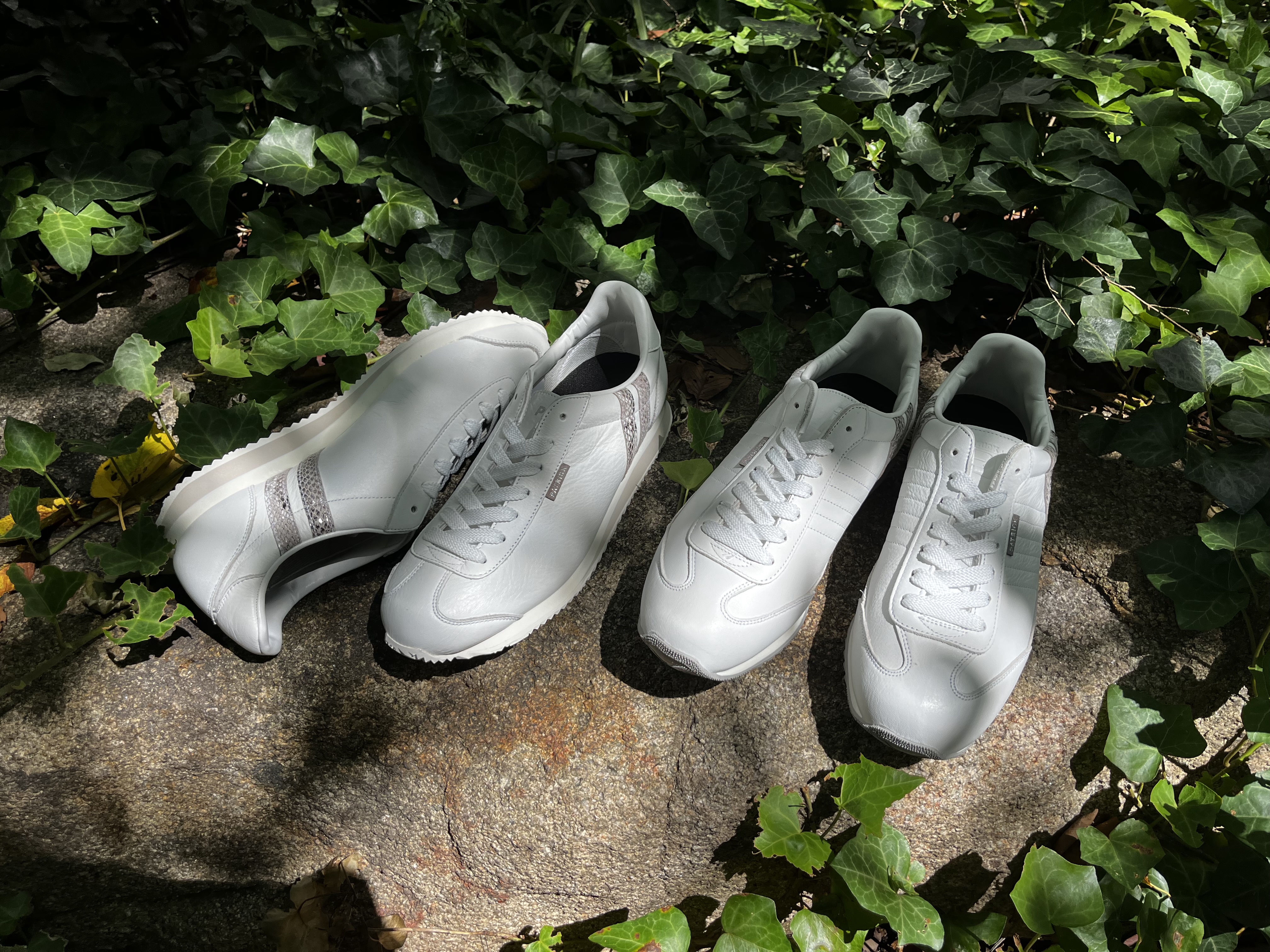 57f6bf38ec54a17bbe99bd518dfd76