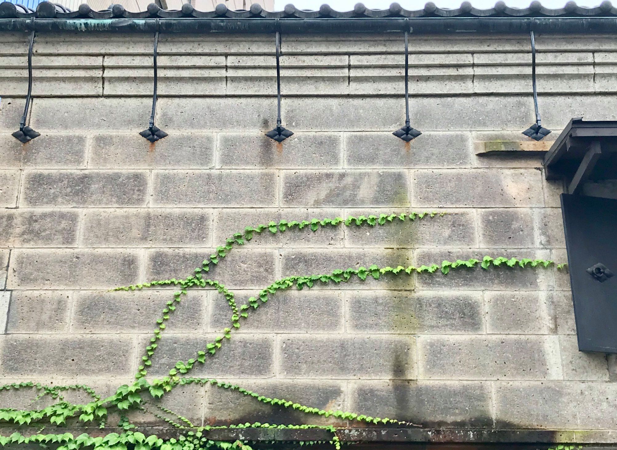 良寛戒語 コズミック教育企画