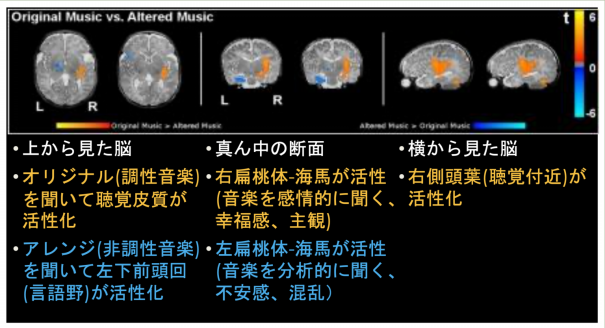 音楽が脳を育てる 15 胎教 赤ちゃんへのクラシック音楽の効果とは 須賀恵ピアノ教室