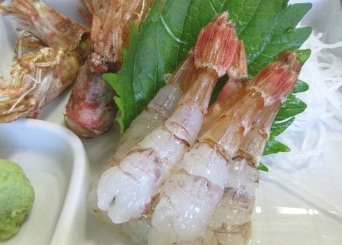 モサエビ 居酒屋 玄 鳥取の旬の食が楽しめるお店 モサエビ 居酒屋 玄 鳥取の旬の食が楽しめるお店