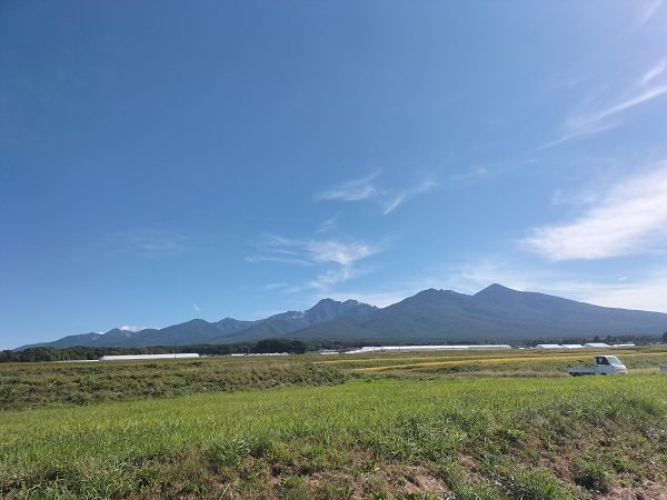 これまでに感謝し新たな気持ちで進みます。八ケ岳田舎暮らし案内所。 信州諏訪地域の不動産フジホーム's Ownd