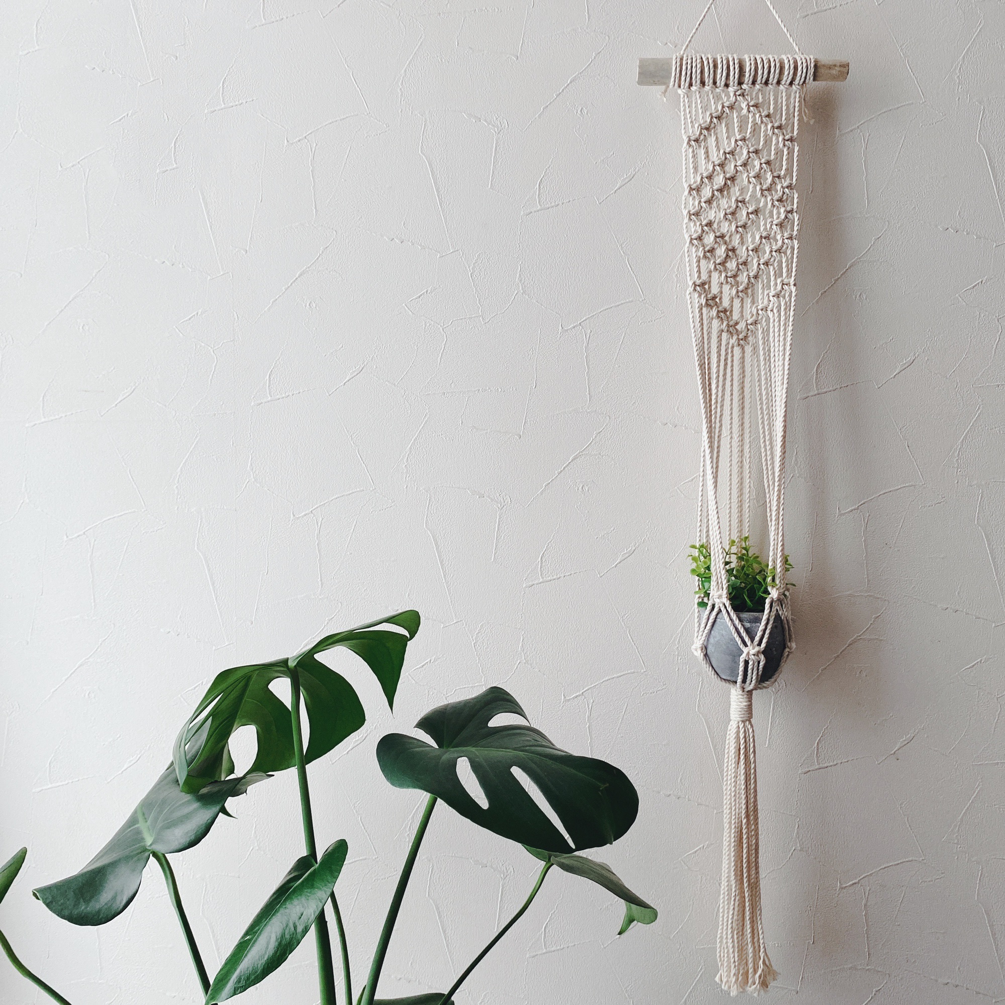 流木☆プランツハンガー 【公式通販】