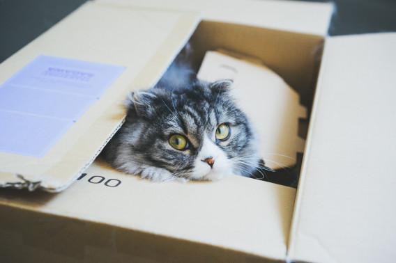 What S Stateoven Stateoven