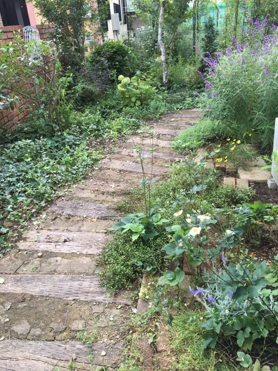 綺麗な庭と 好きな庭 マルチローディングとあんちゃんの庭