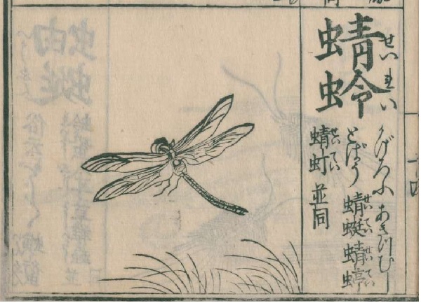 0babc5da9a9b38b0a80ae698406a78