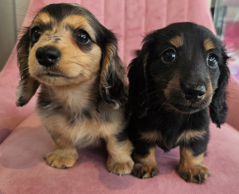 うわぁ~久しぶり🤣