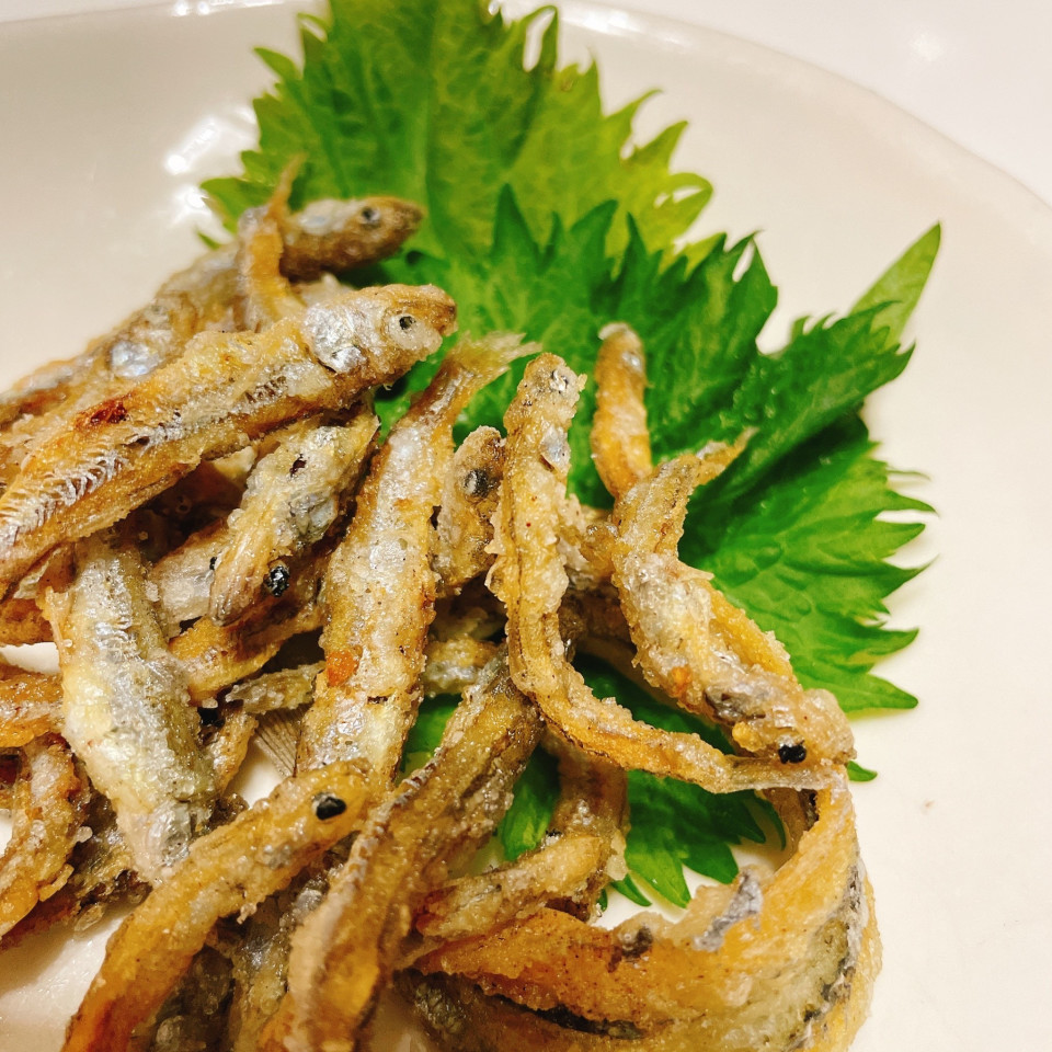 春告魚 サヨリ 稚鮎 ぼうそう波止釣り日記