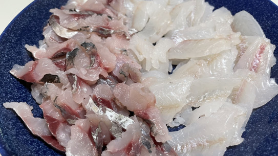 新鮮なお魚を堪能 ぼうそう波止釣り日記 新鮮なお魚を堪能 ぼうそう波止釣り日記
