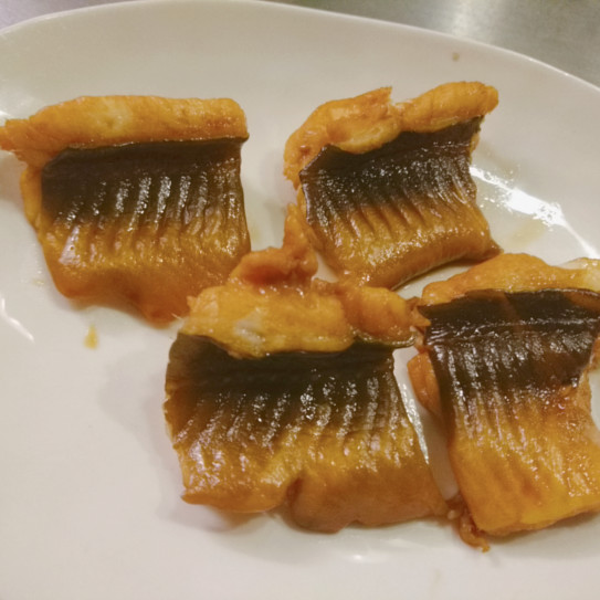 自分史上最大のアナゴを捌く ぼうそう波止釣り日記 自分史上最大のアナゴを捌く ぼうそう波止釣り日記