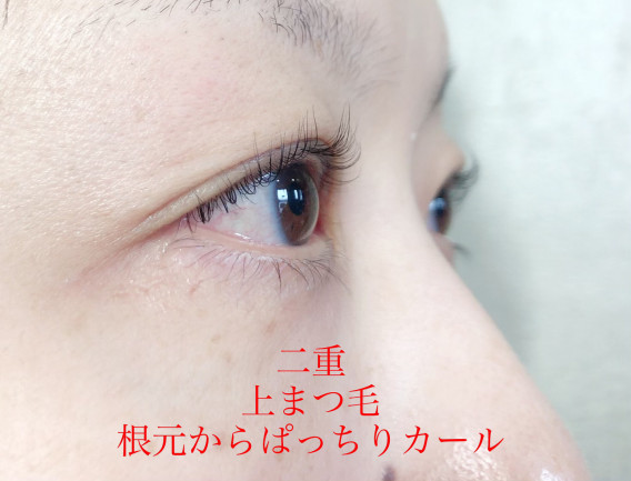 マツエクのようなデザインが可能 デザインシフォンカール Eyelashsalon Althaea マツエクのようなデザインが可能 デザインシフォンカール Eyelashsalon Althaea