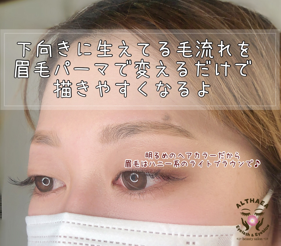 過ごしやすく描きやすい眉毛へ Eyelash Eyeblow Althaea