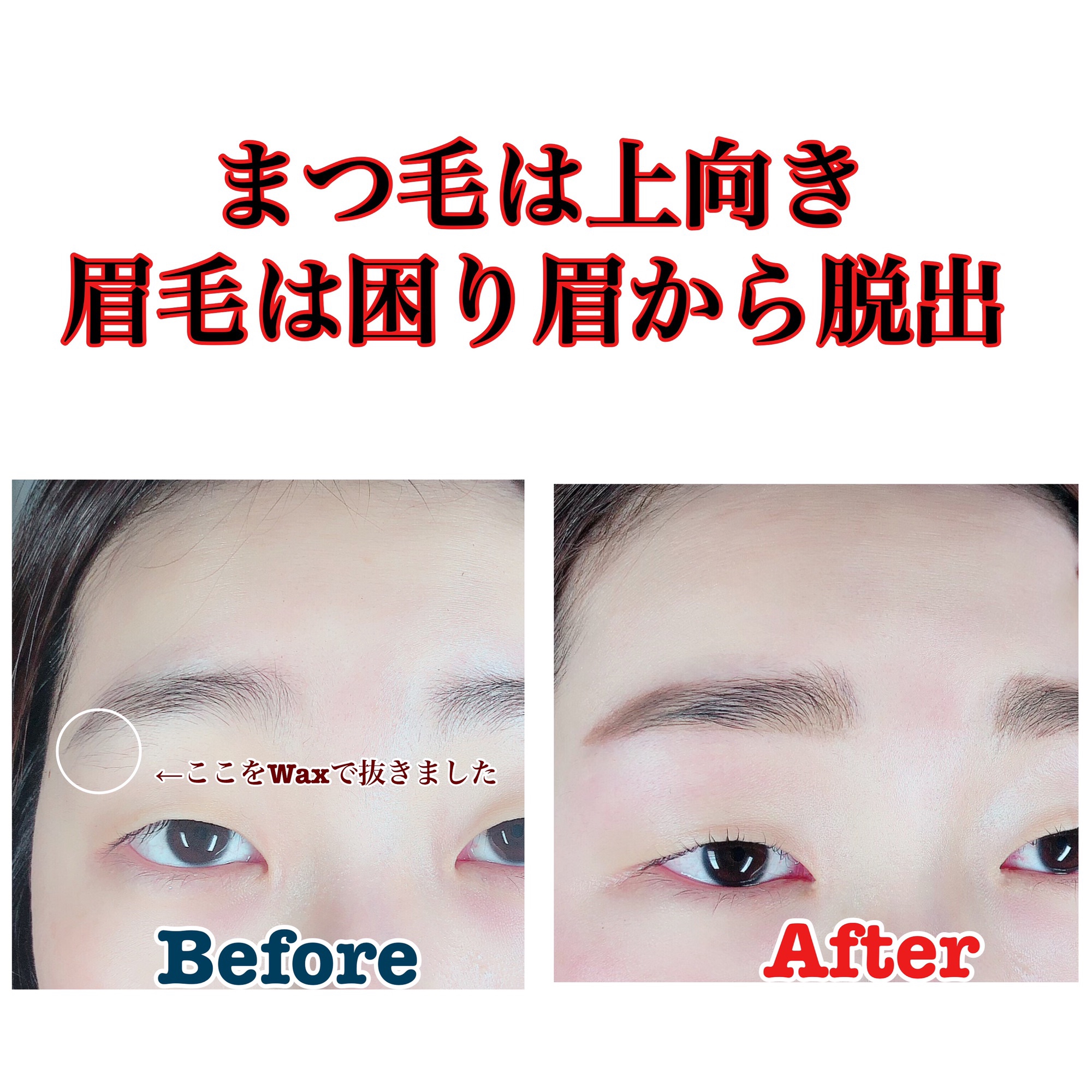 上向きでいこう Eyelash Eyeblow Althaea