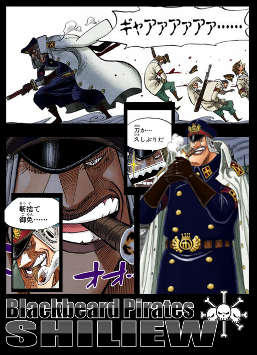 黒ひげ海賊団 Chara Collection