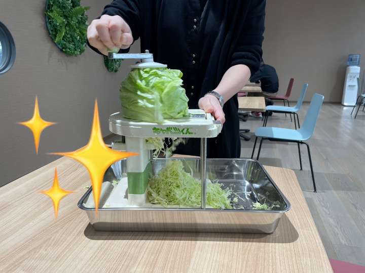 Effortlessly shred cabbage with our plastic slicer - Kitchen gadget –  pocoro