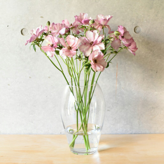 無料印刷可能花 飾り方 美しい花の画像