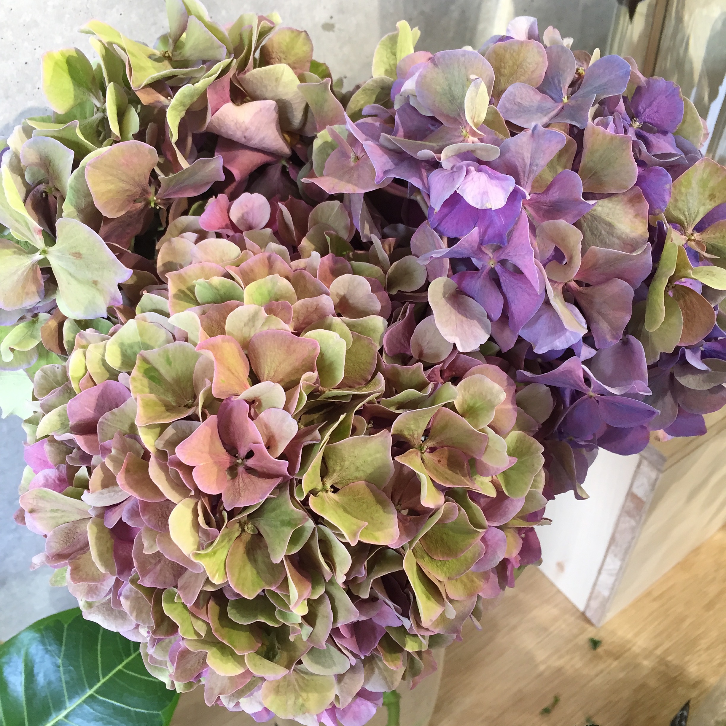 GALLERY | 宙花sorahana