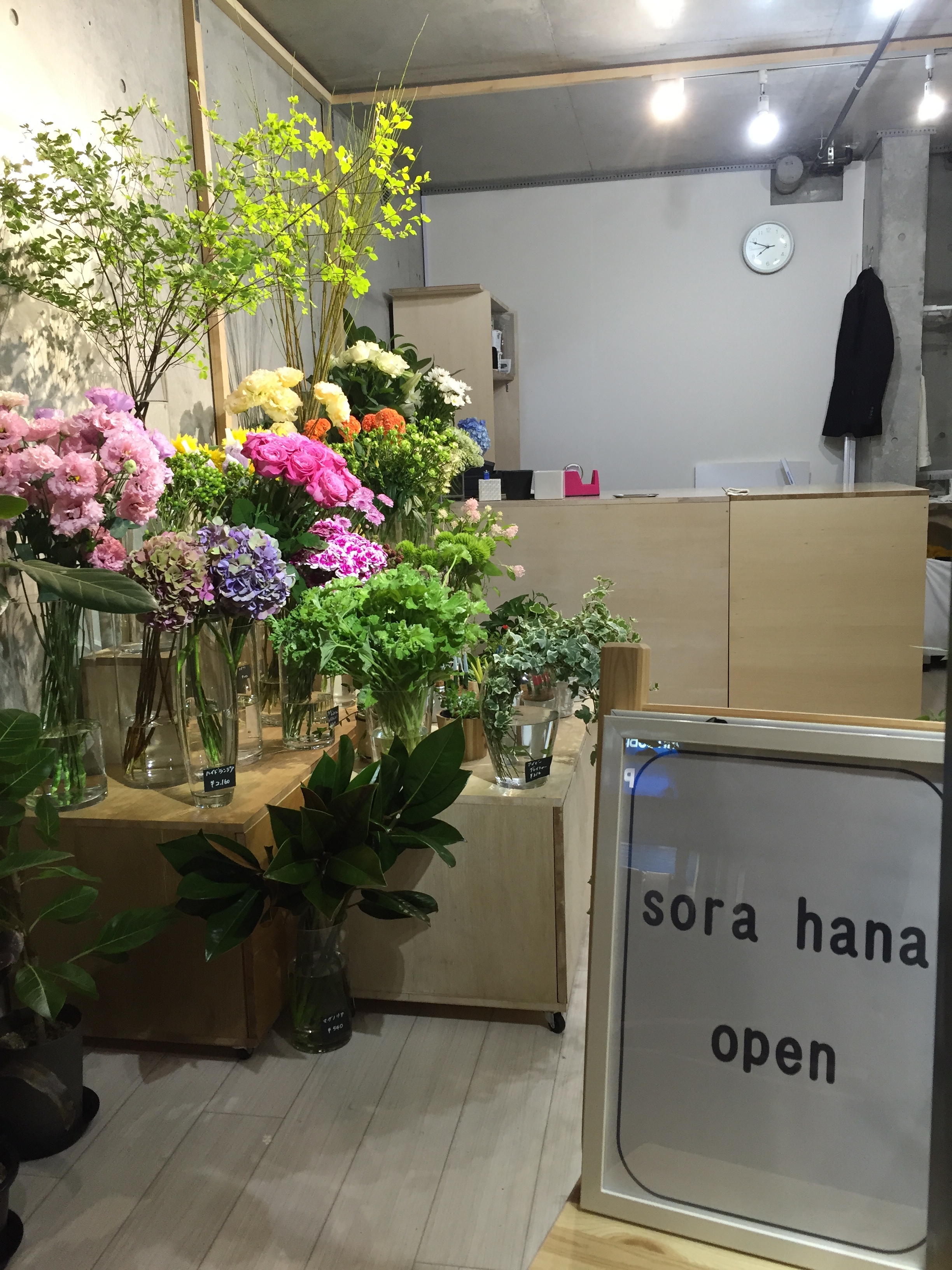 宙花 宙花～sora hana～ - 宙花～sora hana～ added a new photo — at