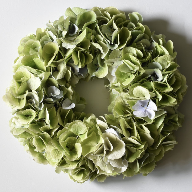 Lesson 宙花sorahana