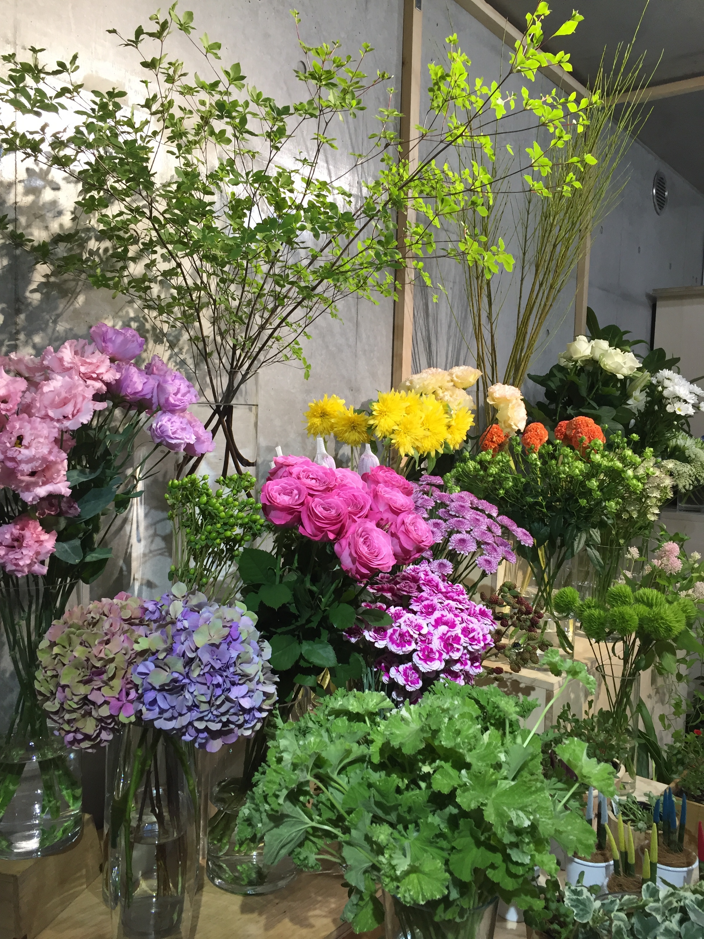 宙花 kunzo nishihata (@kunzo_n) • Instagram photos and videos