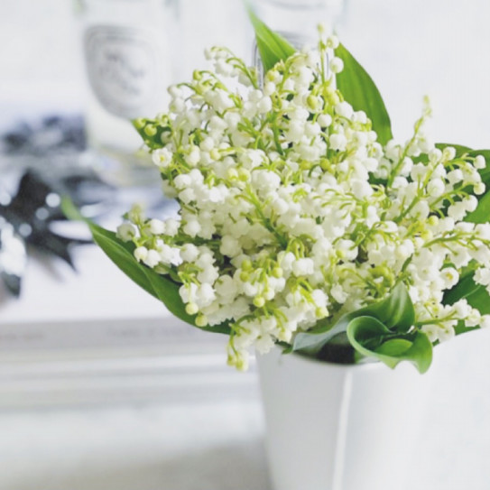 ミュゲの日 Rose Bouquet Tokyo ミュゲの日 Rose Bouquet Tokyo