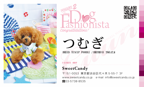 Dogfashionista つむぎ Sweetcandy Cuun Luxury Dog Apparel Magazine