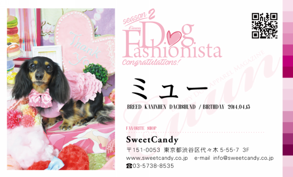 Dogfashionista ミュー Sweetcandy Cuun Luxury Dog Apparel Magazine