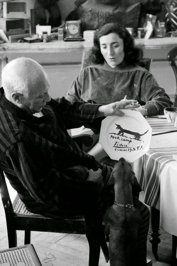 Picasso With Lump Cuun Luxury Dog Apparel Magazine