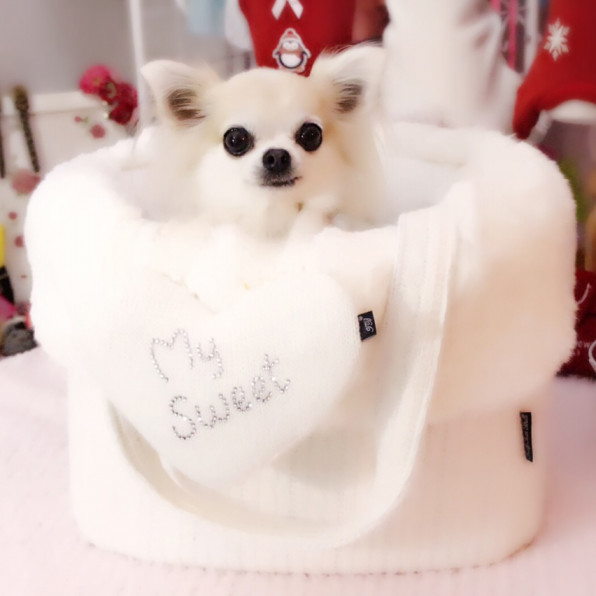 Dogfashionista あさひ ぽてぃも ロコ Sweetcandy Cuun Luxury Dog Apparel Magazine