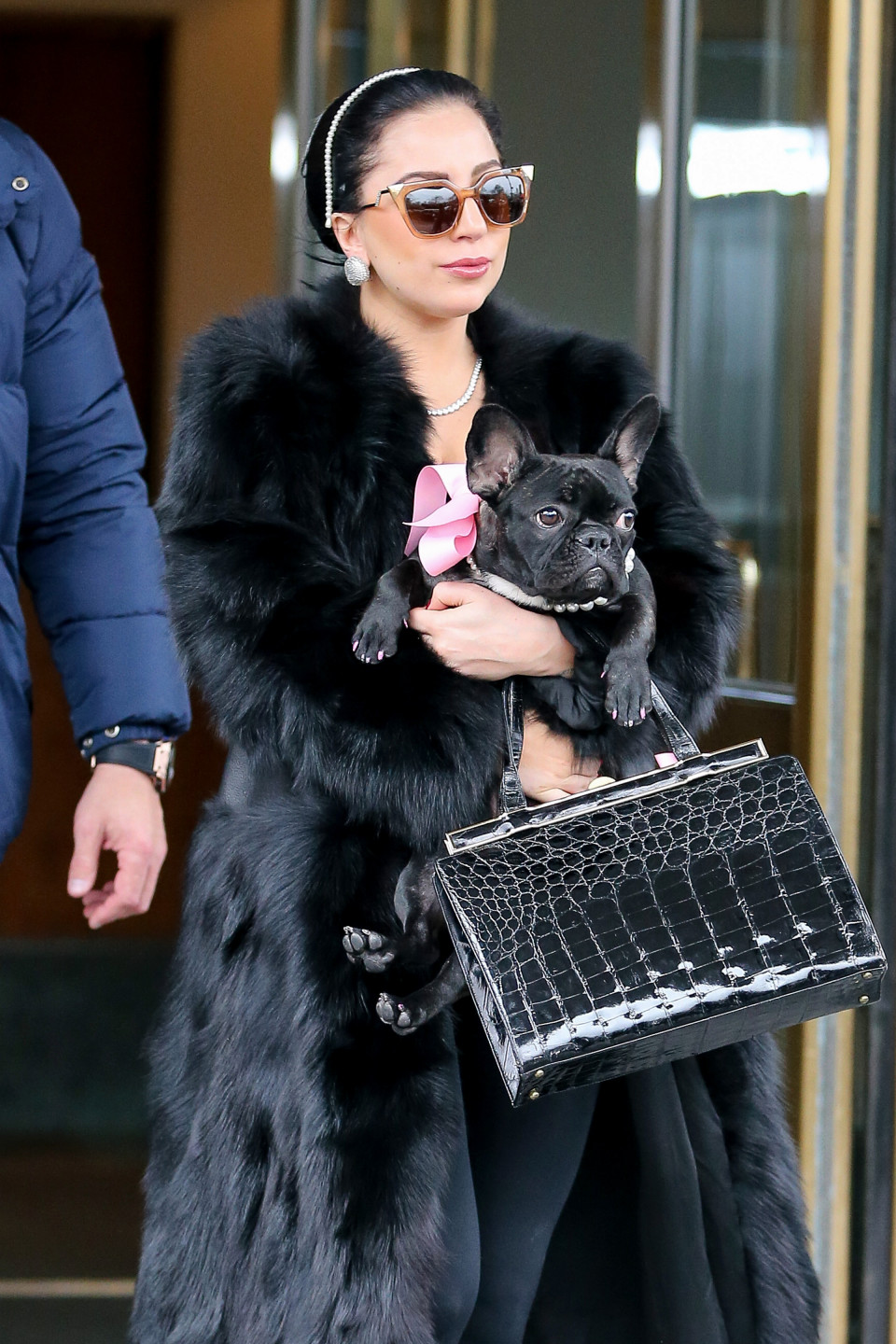 Lady Gaga Asia Kenney Cuun Luxury Dog Apparel Magazine