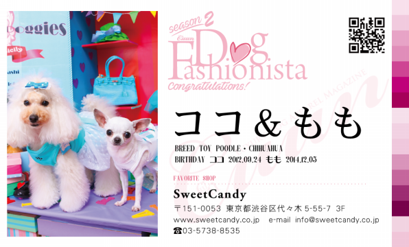Dogfashionista ココ もも Sweetcandy Cuun Luxury Dog Apparel Magazine
