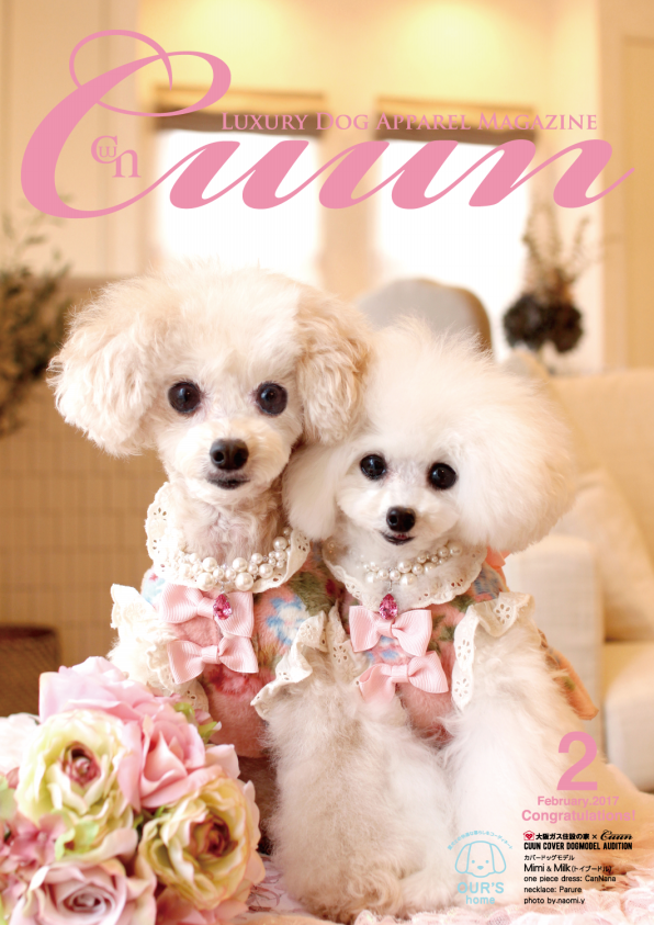 Cover Dog Mimi Milk トイプードル 2月10日発行号 Cuun Luxury Dog Apparel Magazine