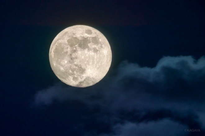 Osho禅タロット無料モニター募集 満員御礼 天真爛漫 妖精のように ˊ ˋ