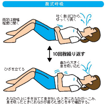 腹式呼吸の仕組み 禅スタイル ブレストレーニング