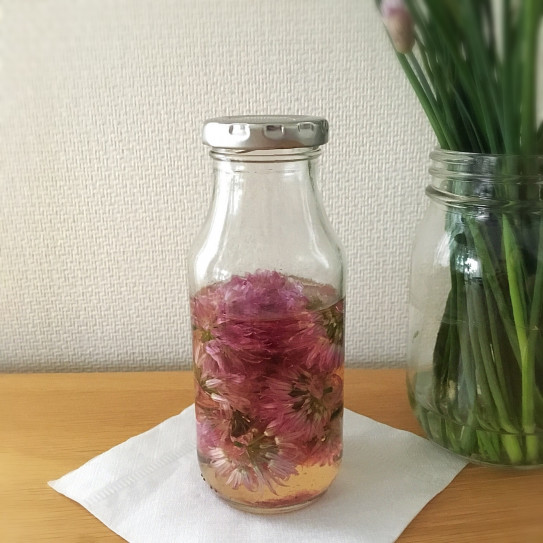 チャイブの花 Aranjia