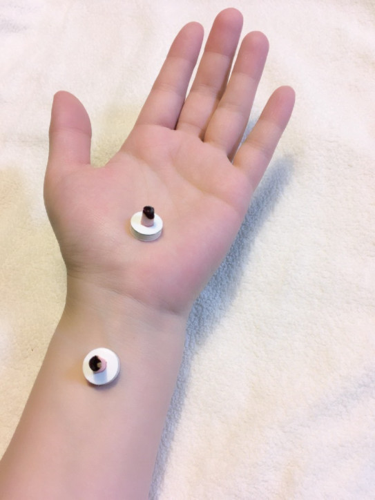 ヨモギ100 のお灸 Aranjia