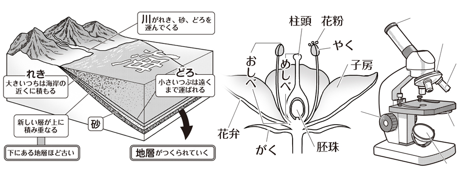 教科書系イラスト さじろう