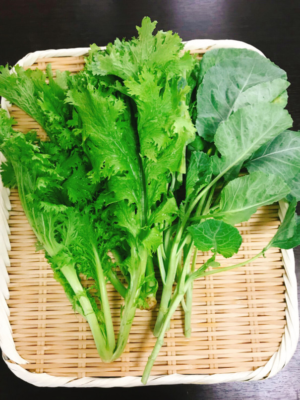 葉物野菜いろいろ 18 7 12 サホリカご飯 葉物野菜いろいろ 18 7 12 サホリカご飯