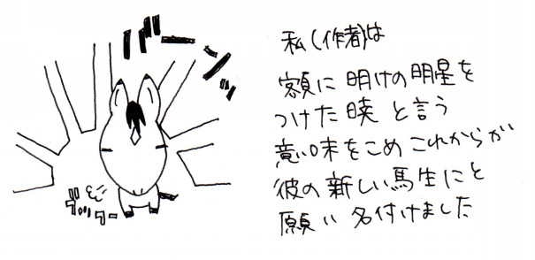 名前の意味 なみあし会