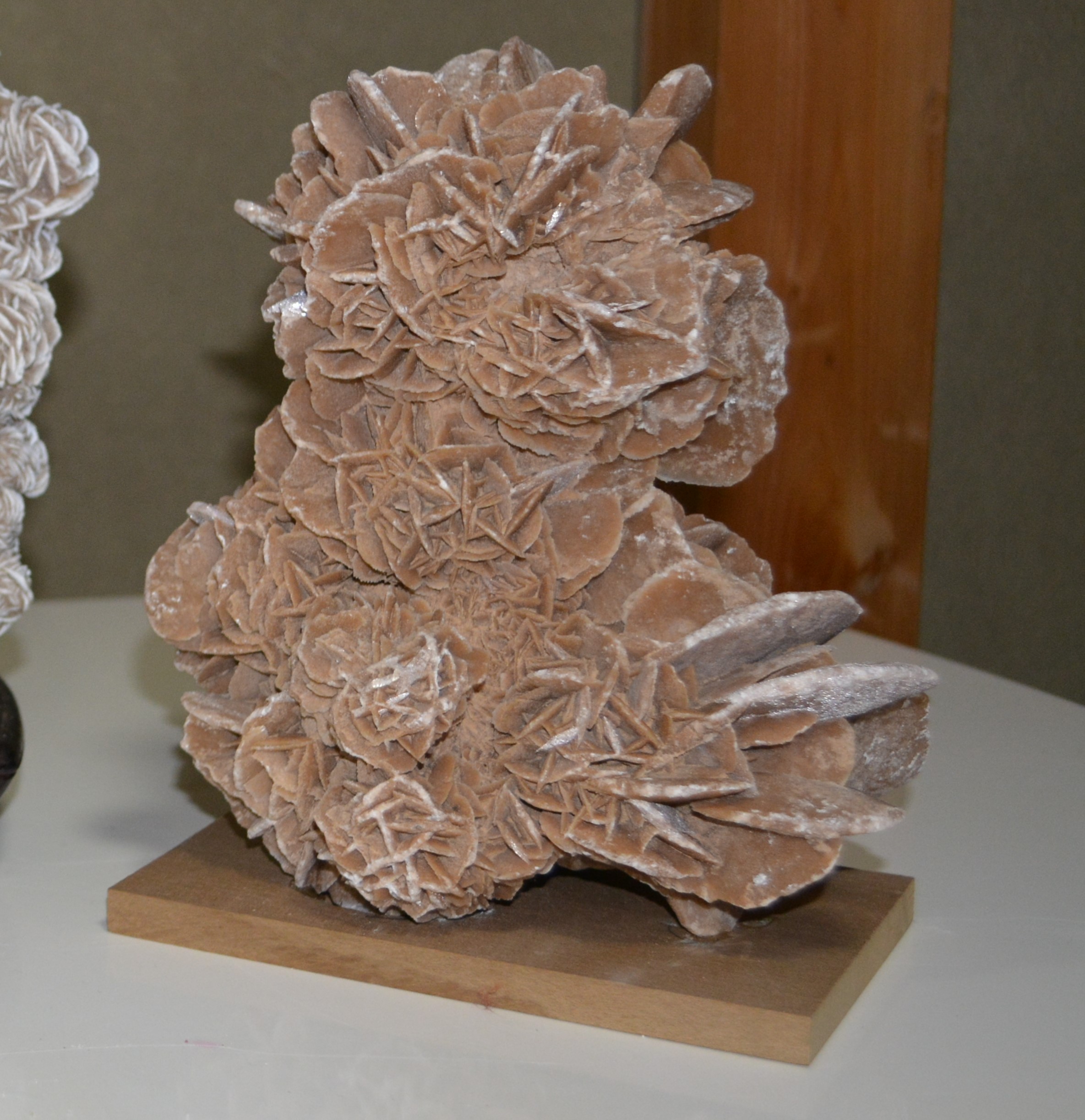 砂漠のバラ | 富岡ふれあいまちづくり委員会【岐阜県関市】