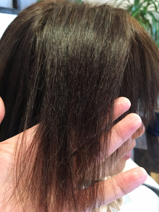 ハイダメージ毛 癖毛でお悩みの方必見 Octo Hair Blog