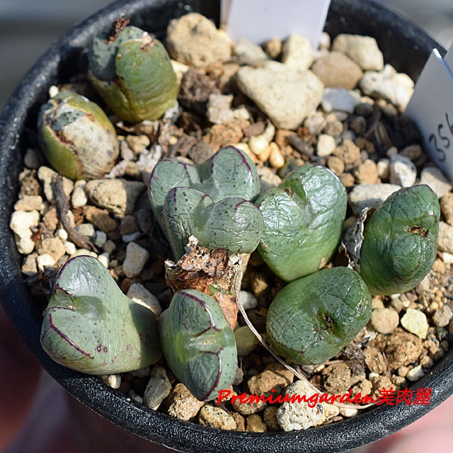 e81a719698963ddefd849870ffb394