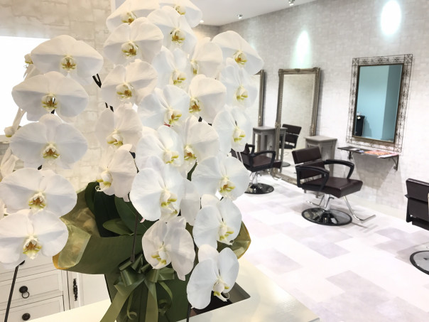 杉並下井草の美容室グランドレイ 美容室グランドレイ 杉並下井草店 Grandre I 公式 杉並下井草の美容室グランドレイ 美容室グランドレイ 杉並下井草店 Grandre I 公式